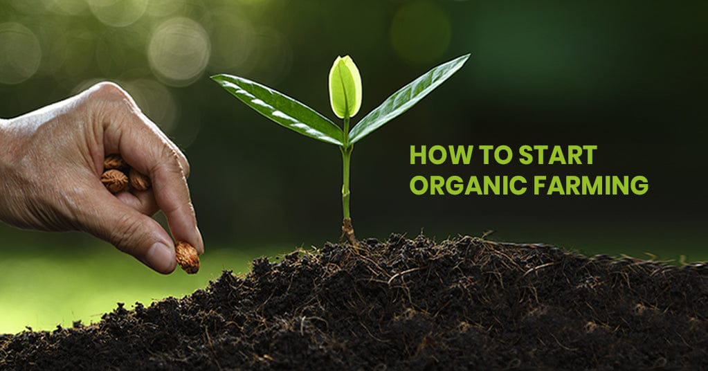 Organic farming practices and sustainable agriculture in Telangana